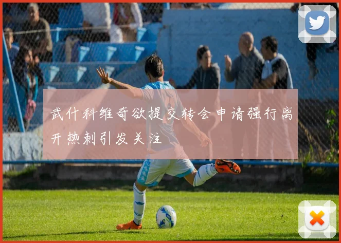 武什科维奇欲提交转会申请强行离开热刺引发关注