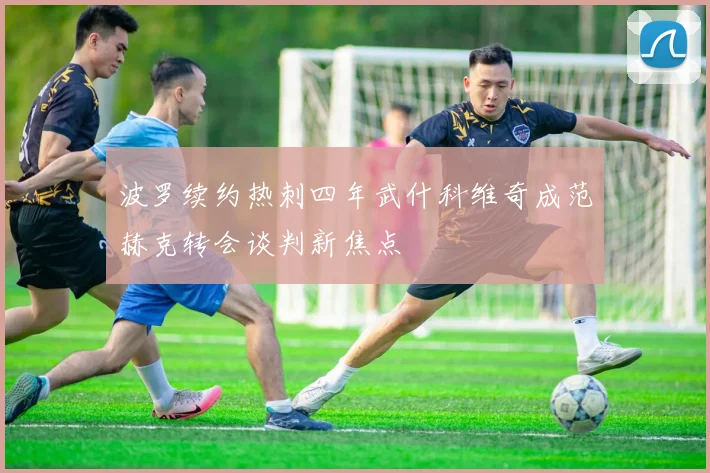 波罗续约热刺四年武什科维奇成范赫克转会谈判新焦点